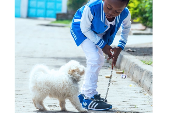 Chiot pendant un cours d'éducation canine